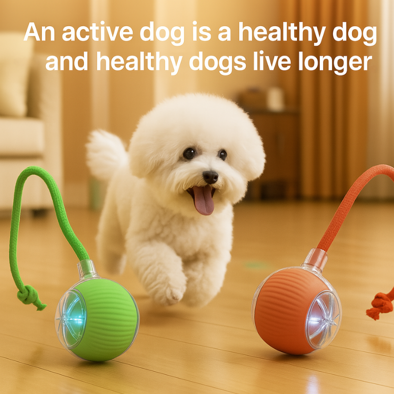 SmartPlay™ – Automatic Dog Ball (Buy 1, Get 1 FREE)