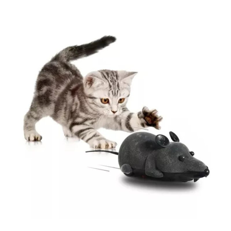 HuntMouse – Interactive Electric Crawling Mouse Toy for Cats